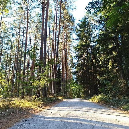 Mazurska Lesniczowka Nowy Zyzdroj Bed & Breakfast Eksteriør bilde