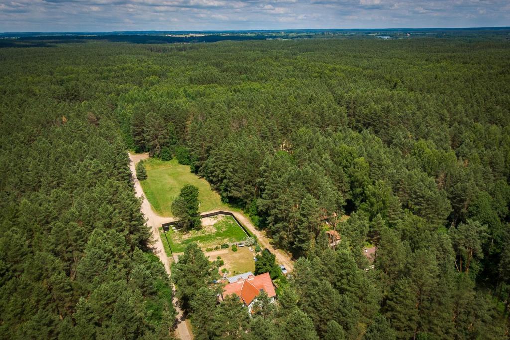 Mazurska Lesniczowka Nowy Zyzdroj Bed & Breakfast Eksteriør bilde