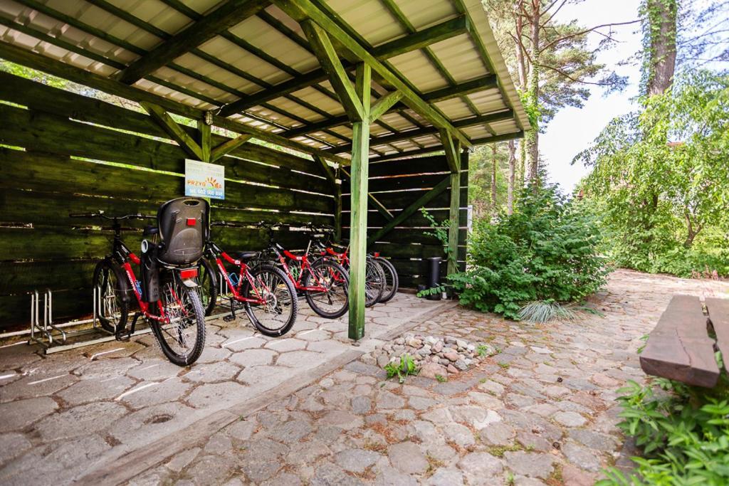 Mazurska Lesniczowka Nowy Zyzdroj Bed & Breakfast Eksteriør bilde