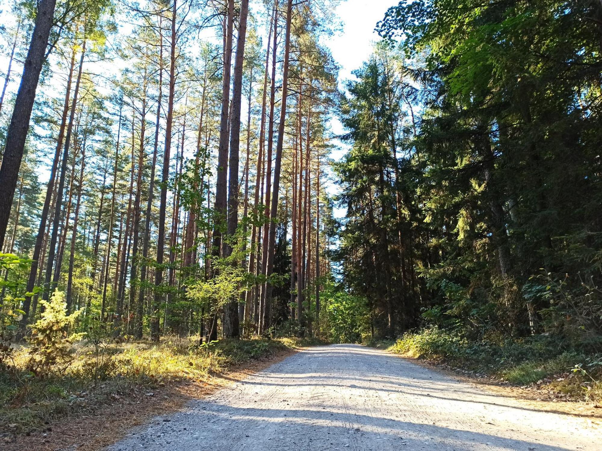 Mazurska Lesniczowka Nowy Zyzdroj Bed & Breakfast Eksteriør bilde